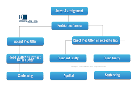Outline Of The Mi Criminal Process If You Charged With A