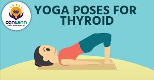 We did not find results for: 6 Yoga Poses For Thyroid Canwinn Foundation