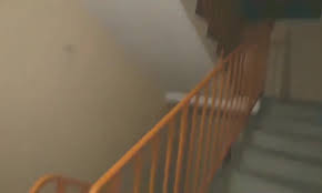 Disappearing Cock: Meanwhile in Brooklyn... - Porn GIF Video | neryda.com