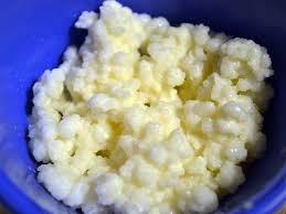 How To Maintain Kefir Grains Kefir Grains Kefir Recipes Kefir Yogurt