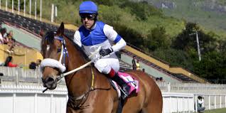 Darryl Holland: « Hot Rocket m'a sauvé la vie »