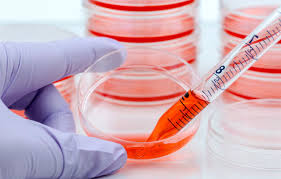 Check spelling or type a new query. Photo Wallpaper Sign Science Laboratory Red Liquid Animal Cell Culture Dish 1332x850 Wallpaper Teahub Io