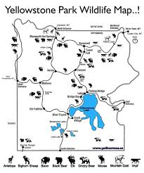 This worksheet links with a website to help students identify specific attributes of this natural treasure. Free Coloring Pages Printable Pictures To Color Kids Drawing Ideas Printable Yellowstone Park Coloring American Wildlife Kids Drawings