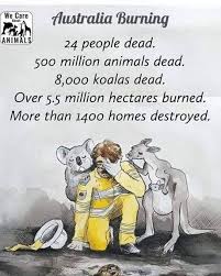 Trrr Ump Should Start A Trade Barrier With Australia Until They Stop Those Fires Australian Animals Australia Animals Australia