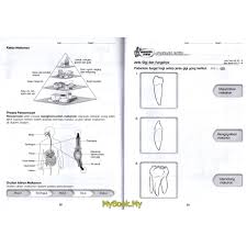 Soal tik kelas 3 kuiz. Myb Buku Latihan Aktiviti Buku Latihan Berformat Pbd Kssr Tahun 3 Sains Sasbadi Shopee Malaysia