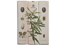 Estepa Virgen Extra Virgin Olive Oil Packaging Design By Buenos Dias Via Behance Olive Oil Packaging Packaging Design Packaging Design Inspiration