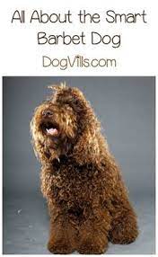 Grace Smith Graceasmith1014 - Profile Pinterest
