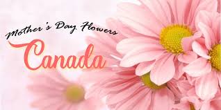 16 mother's day flower delivery services that are sure to get the job done. The 8 Best Options For Mothers Day Flowers In Canada 2021