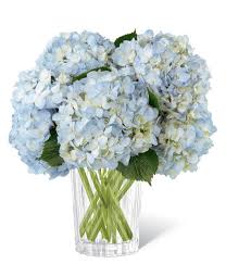 Head size 7 (18 cm). The Ftd Joyful Inspirations Bouquet By Vera Wang At From You Flowers