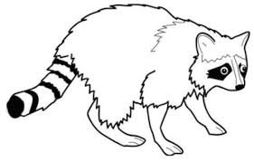 Https Www Immunize Org Vis Turkish Rabies Pdf