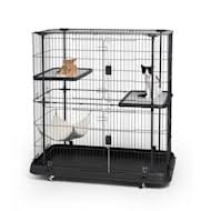 In my home or yours which pertains of companionship, feeding, walks in the park and play. Cat Kennels Crates Travel Solutions For Cats Kittens Petco