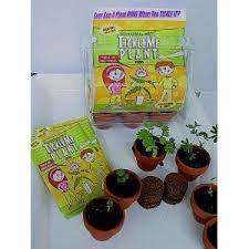 Tickle Me Plant Plant Science Fair Projects Plant Science Tickleme Plant