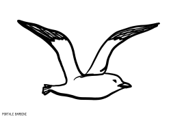 These birds usually range from being medium to large in size. Seagull Coloring Pages For Kids Free To Print Portale Bambini