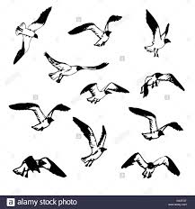 Small Bird In Flight Drawing Hand Drawn Flying Seagulls Black And White Illustration Sketch Stock Vector Art Illustration Vector Im Bird Sketch Flying Bird Drawing Seagull Illustration