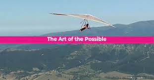 The Art Of The Possible Lake Shore Associates