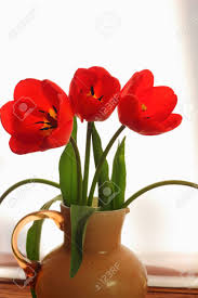 Download Three Flowers In A Vase Of Tulips Stock Photo Picture And Royalty Free Image Image 39440976