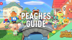 Once you have it, head to dodo airlines and you'll be whisked away to another island. How To Get Peaches In Animal Crossing New Horizons