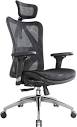 Amazon.com: SIHOO M57 Ergonomic Office Chair with 3 Way Armrests ...