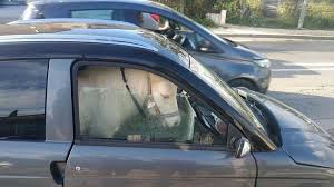 Cars La Ciotat Un Poney Passager D Une Voiture Sans Permis Https Lesvoitures Fr La Ciotat Poney Voiture Sans Permis Voiture Sans Permis Voiture La Ciotat