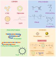 Messenger rna may not be as famous as its cousin, dna, but it's having a moment in the spotlight. Nanoparticle Based Delivery Platforms For Mrna Vaccine Development