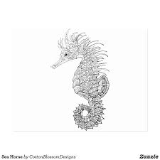 Sea Horse Postcard Zazzle Com In 2020 Horse Drawing Seahorse Postcard