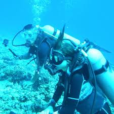 Image result for Rotheca teaguei