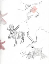 In this introductory lesson to drawing animals, glenn will teach you how to observe the visual qualities of an animal based on. My Project In Botanical Animal House Watercolour Ink And Graphite Domestika