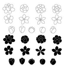 Free Free Jasmine Flower Svg Free 799 SVG PNG EPS DXF File