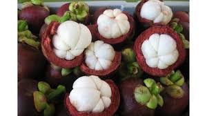 Untuk membuktikan hal itu, penelitian yang dilakukan adalah dengan memakai mangostin dari ekstrak etanol 40% yang memiliki aktifitas penghambatan terhadap pelepasan nistamin dan sintesis prostagladin e2. 6 Manfaat Buah Manggis Bagi Tubuh Menyehatkan Kulit Hingga Bantu Jaga Berat Badan Tribunnews Com Mobile