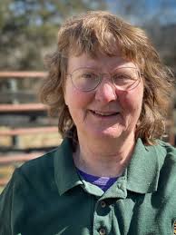 Rappahannock's dark sky protectors worry as development marches west