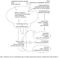 Pain Is Weird A Volatile Misleading Sensation