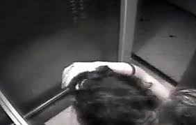 Il est toujours considéré comme l'un des fantasmes les plus populaires. Baise Dans Un Ascenseur Sextvx Com