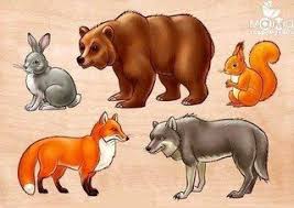 Zhanat Manibekova Vk Animals Wild Animal Drawings Winter Animals