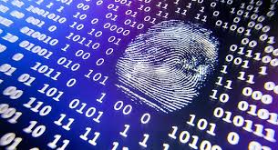 Action that can be taken by the relevant. Cybersecurity Services Sgs