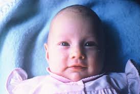 Hope is the Bird who Feels the Light and Sings while the Dawn is still Dark 