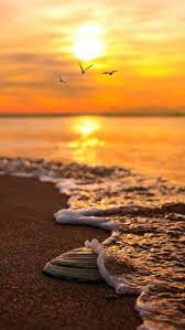 Lovely Yellow Sunset At The Beach Sunset Photography Nature Photography Nature Pictures