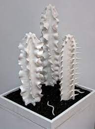 Photograph a landscape draw a food monster make fluffy slime build a catapult the 30 day project introduce yourself in another language see more. Bone Dry Cactus Ceramic Pottery Sculpture Ceramic Flowers