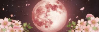 The latest tweets from @blackmoonfg Flower Moon Twitter Header By Sailortrekkie92 On Deviantart