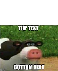 Check spelling or type a new query. Perhaps Cow Imgflip