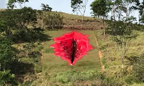However, there are books and websites available that are filled with an artist's reference photos. The Vagina Dialogues 33 Metre Artwork Draws Far Right S Ire In Brazil Brazil The Guardian