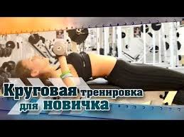 тренировка на все группы мышц в тренажерном зале для мужчин Dlya Novichkov V Sportzale Krugovaya Trenirovka Krugovye Trenirovki Uprazhnenie Dlya Nachinayushih Fizkulturnye Uprazhneniya