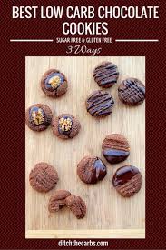 No need to cover the decorated cookies as you wait. Best Low Carb Chocolate Cookies Sugar Gluten Free