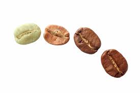 Nó tích cực sinh sản trong không khí ấm và khô. Biáº¿n Ä'á»•i Hoa Há»c Trong Qua Trinh Rang Ca Phe Ä'ao Táº¡o Barista Chuyen Nghiá»‡p