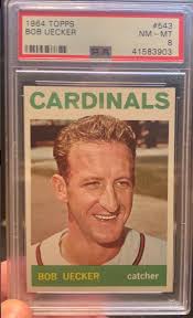 Brewers fan supports team against Dodgers