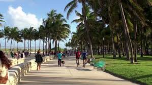 Most miami beach hotels offer free cancellation. Miami Beach Great Runs