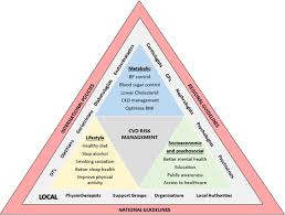 Image result for Cardiac Risk