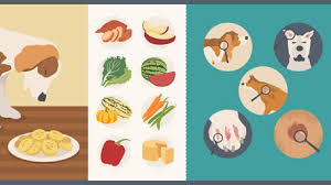 Homemade dog food can benefit your canine companion in a number of ways — especially if you have a pet who suffers from allergies, skin problems, or we also have some yummy organic dog treat recipes and treats made with thanksgiving leftovers. Homemade Healthy Dog Treats Fix Com