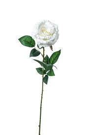 Από βαθυ κοκκινο , κυριακή, 14 μαρτίου 2021 | 4:41 π.μ. Triantafyllo Me Agka8ia Ba8y Kokkino Zaros