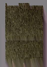 Image result for Eureiandra eburnea