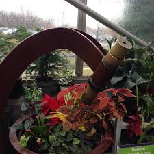 Check spelling or type a new query. Photos At Gardener S Supply Company Garden Center In Williston